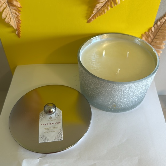 Thymes Frasier Fir Flocked Jar Candles – Holiday Scented Candles (3-Wick, 18 oz) - Picture 3 of 7